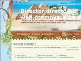 Director, directoare web, promovare site