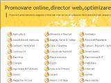 Promovare online, optimizare site, director web