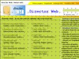Director Web