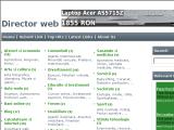 lizarDirector - promovare gratuita site-uri